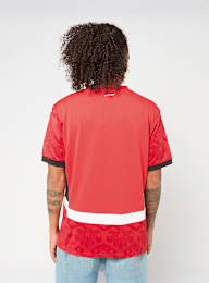 PUMA, Egyptian FA Home Jersey Replica, red, Image 2 of 9