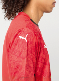 PUMA, Egyptian FA Home Jersey Replica, red, Image 5 of 9