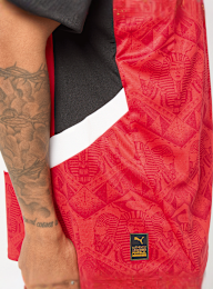 PUMA, Egyptian FA Home Jersey Replica, red, Image 7 of 9