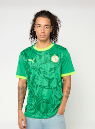 PUMA, FIF Home Jersey Replica, green, Image 1 of 9