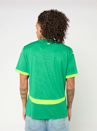 PUMA, Fédération Sénégalaise de Football Home Jersy Replica, green, Image 2 of 9