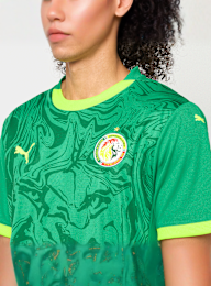 PUMA, FIF Home Jersey Replica, green, Image 3 of 9