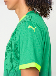 PUMA, FIF Home Jersey Replica, green, Image 4 of 9