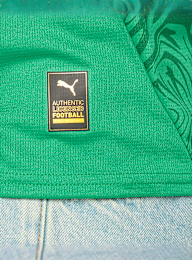 PUMA, FIF Home Jersey Replica, green, Image 7 of 9