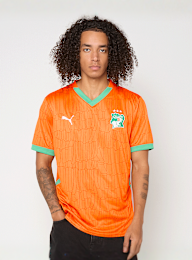 PUMA, FIF Home Jersey Replica, oranje, Afbeelding 1 van 9