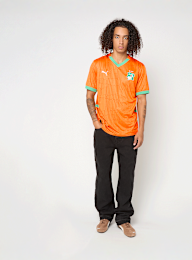 PUMA, Fédération Ivoirienne de Football Home Jersey Replica, orange, Image 9 of 9