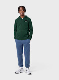 New Balance, Sports Club Graphic Zip Hoodie, green, Image 5 of 5