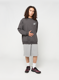 New Balance, Classic Tri-Logo French Terry Crew, grey, Image 7 of 7
