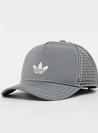 adidas Originals, Curved Trucker, grey, Image 1 of 4