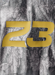 Jordan, Brooklyn Realtree Jersey, grey, Image 4 of 7