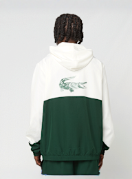 Lacoste, TRAININGSANZÜGE graphite/black-elephant grey, green, Image 3 of 9