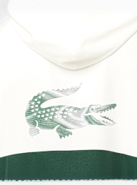 Lacoste, TRAININGSANZÜGE graphite/black-elephant grey, green, Image 5 of 9
