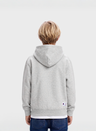 Champion, Hooded Sweatshirt, grey, Image 2 of 4