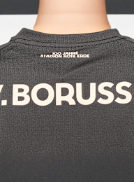 BVB, BVB Sondertrikot 100 Jahre Rote Erde, black, Image 5 of 7