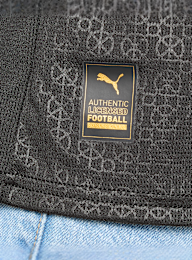 BVB, BVB Sondertrikot langarm 100 Jahre Rote Erde, black, Image 4 of 7