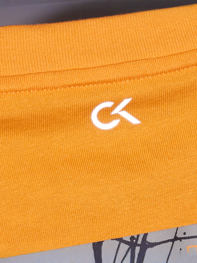 Calvin Klein Performance, 01996511, Undefined Color, Afbeelding 6 van 7