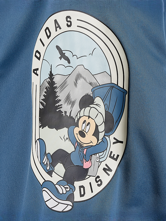 adidas Originals, Trainingsanzug, multicolor, Afbeelding 3 van 4