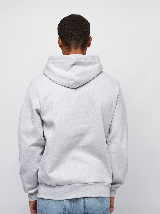 Lacoste, Hoody Sweatshirt, grey, Image 2 of 5
