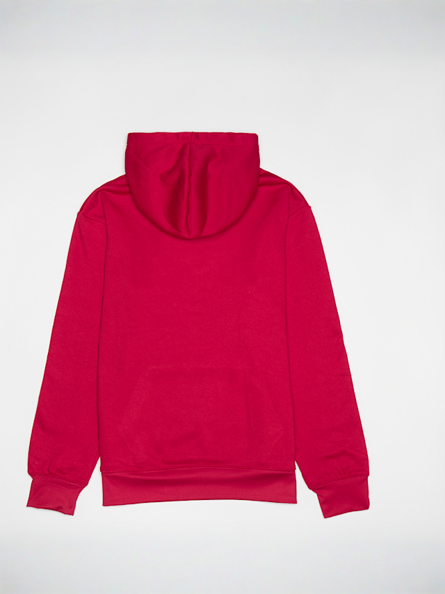 Jordan, Jumpman Susatinable Hoodie, rood, Afbeelding 2 van 4