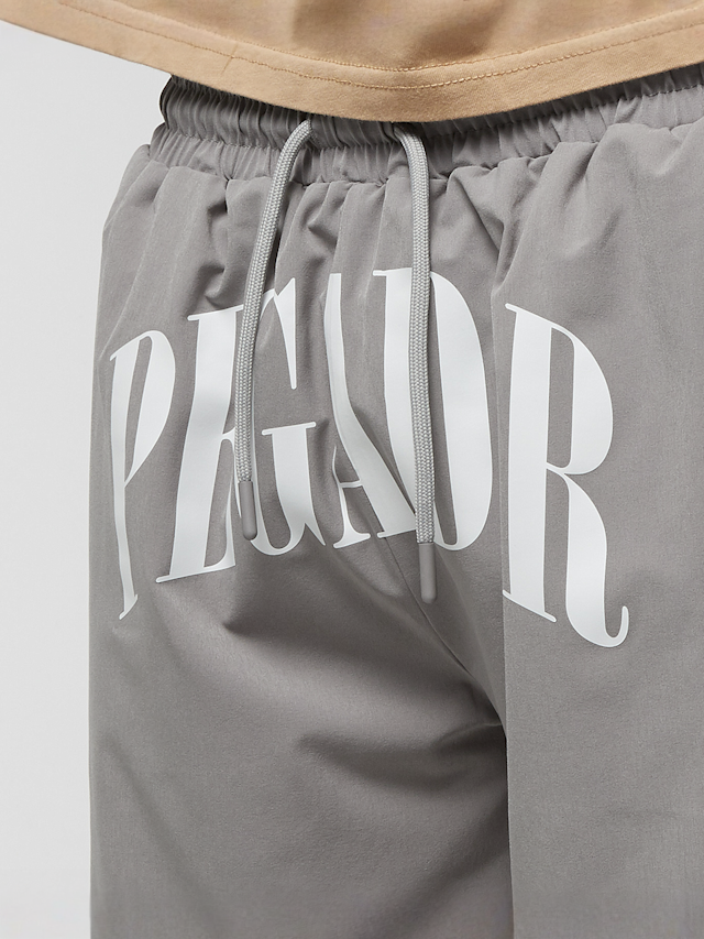 Pegador, Lisgar Swim Shorts, grijs, Afbeelding 3 van 5