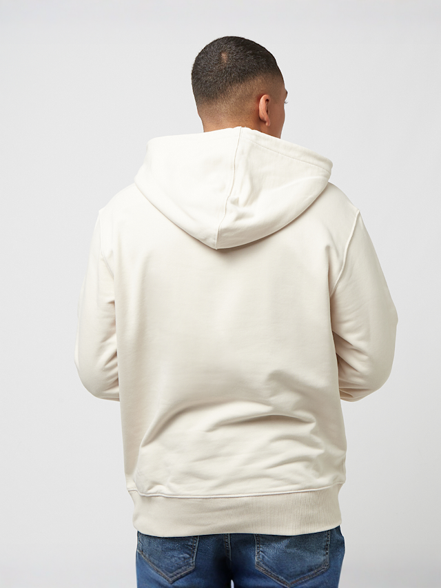 Dickies, Greenburg Hoodie, beige, Afbeelding 2 van 4
