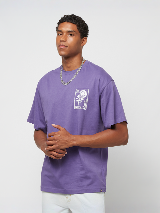 Dickies, GARDEN PLAIN TEE SS imperial palace, czarny, Obraz 2 z 5