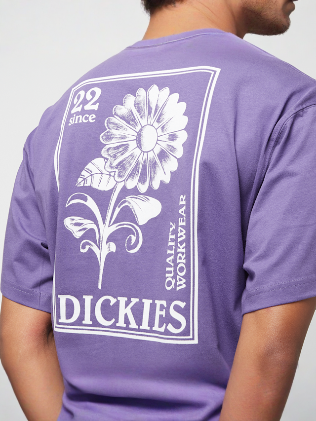 Dickies, GARDEN PLAIN TEE SS imperial palace, czarny, Obraz 4 z 5