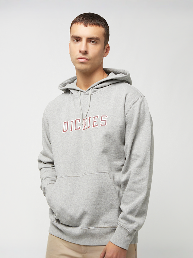 Dickies, Melvern Hoodie, grey, Image 1 of 4