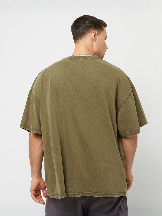 Karl Kani, Small Signature Heavy Jersey Washed Boxy Tee, green, Image 2 of 4