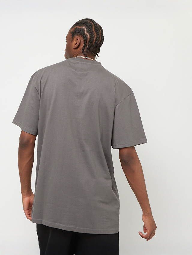 Karl Kani, Small Signature Essential Tee, grey, Image 2 of 4