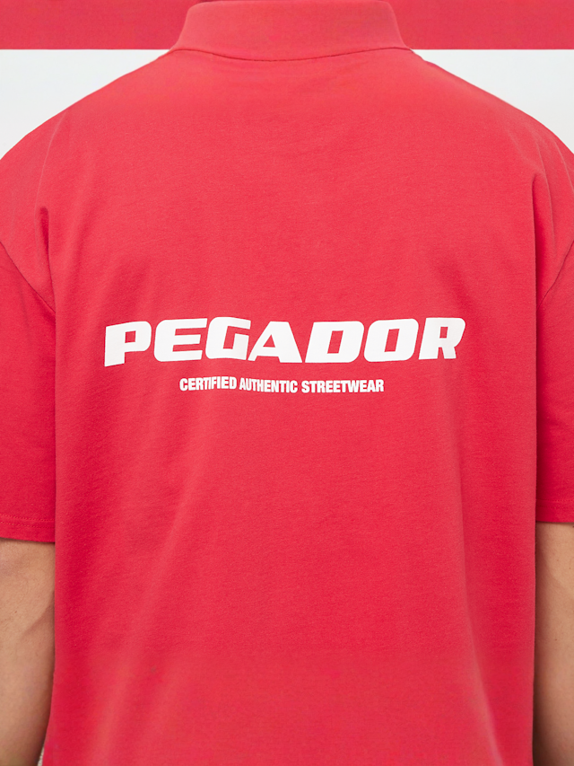 Pegador, Colne Logo Oversized Tee, red, Image 4 of 5