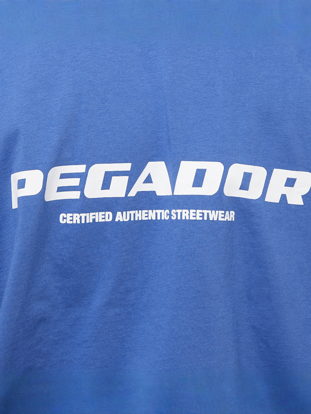 Pegador, Colne Logo Oversized Tee, blue, Image 4 of 5