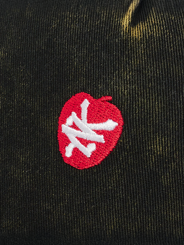 Zoo York, Apple Dad Cap, black, Image 4 of 5