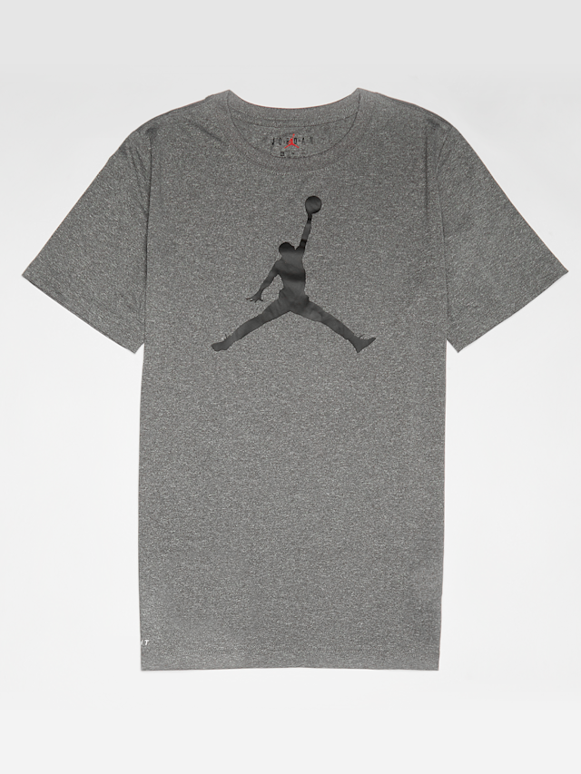 Jordan, Jumpman Logo Dri Fit Tee, grey, Image 1 of 4