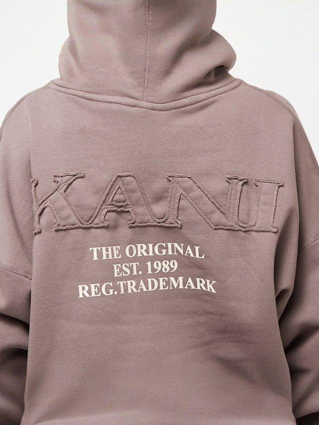 Karl Kani, Small Signature Washed Oversized Hoodie, brown, Image 4 of 5
