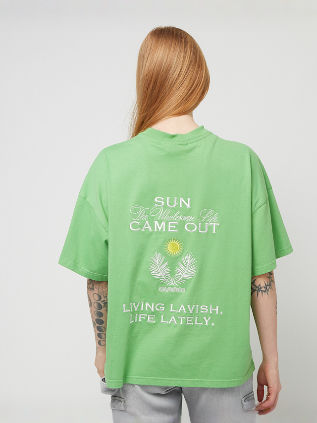 Pegador, Flora Heavy Oversized Tee, groen, Afbeelding 1 van 5