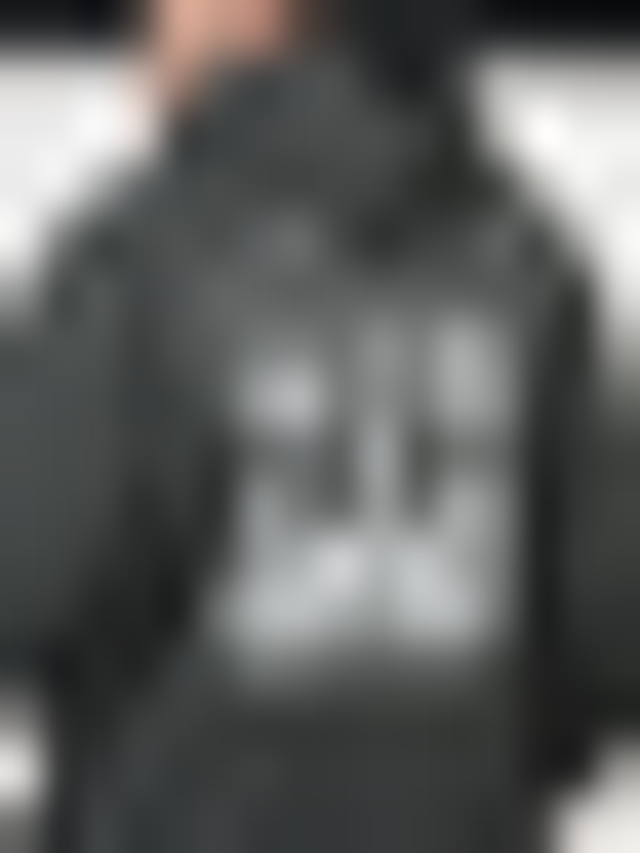 Karl Kani, Icy Dancer Backprint Hoodie, grey, Image 4 of 5