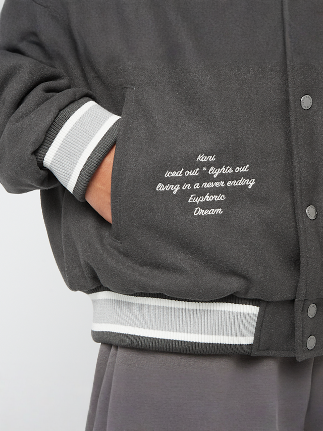 Karl Kani, Snow Tiger College Jacket, grey, Image 4 of 6