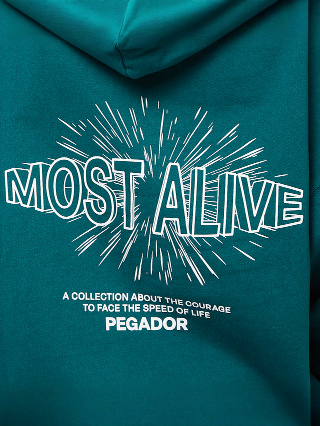 Pegador, Nisa Oversized Hoodie, green, Image 4 of 5