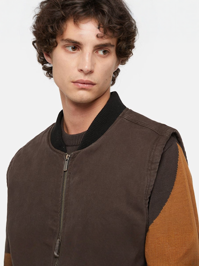 Dickies, Duck Canvas Vest, brown, Image 3 of 6