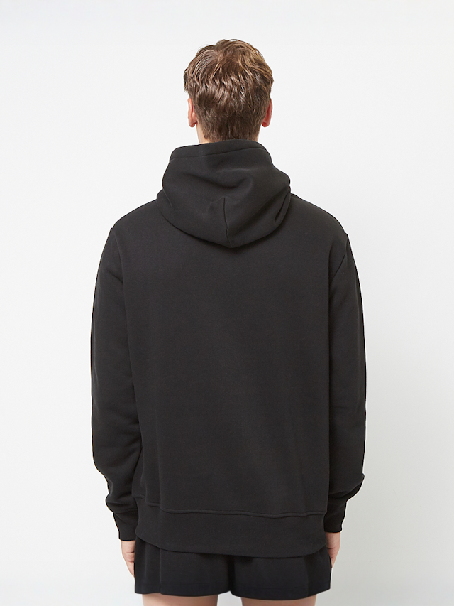 Polo Sport Ralph Lauren, LSPOHOODM6-Long Sleeve-Sweatshirt, black, Image 2 of 4