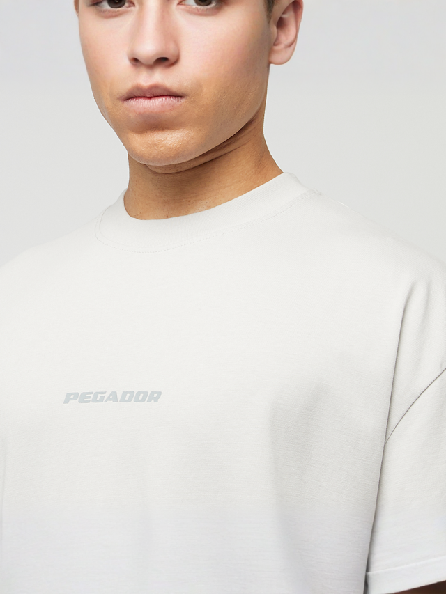 Pegador, Colne Logo Oversized Tee, grey, Image 3 of 5