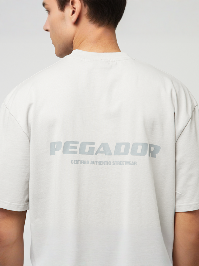 Pegador, Colne Logo Oversized Tee, grey, Image 4 of 5