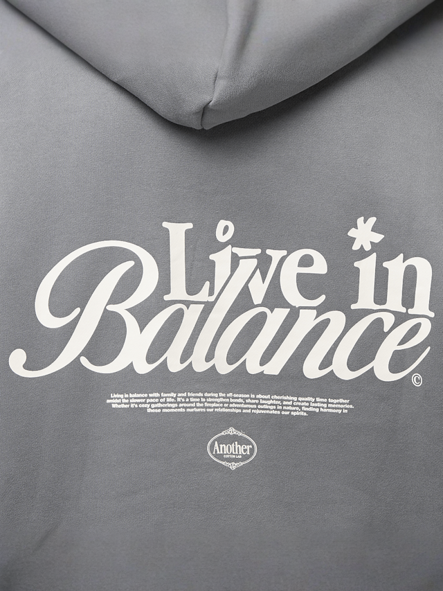 Another Cotton Lab, Live in Balance Heavy Oversized Hoodie, grey, Image 4 of 5