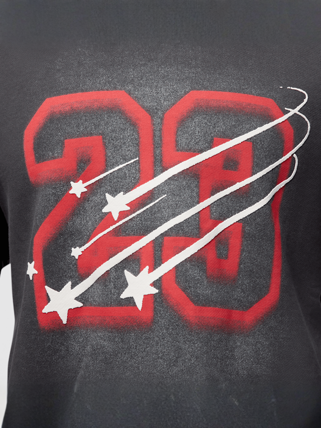 Jordan, Flight Fleece Graphics Hoodie, grey, Image 4 of 6