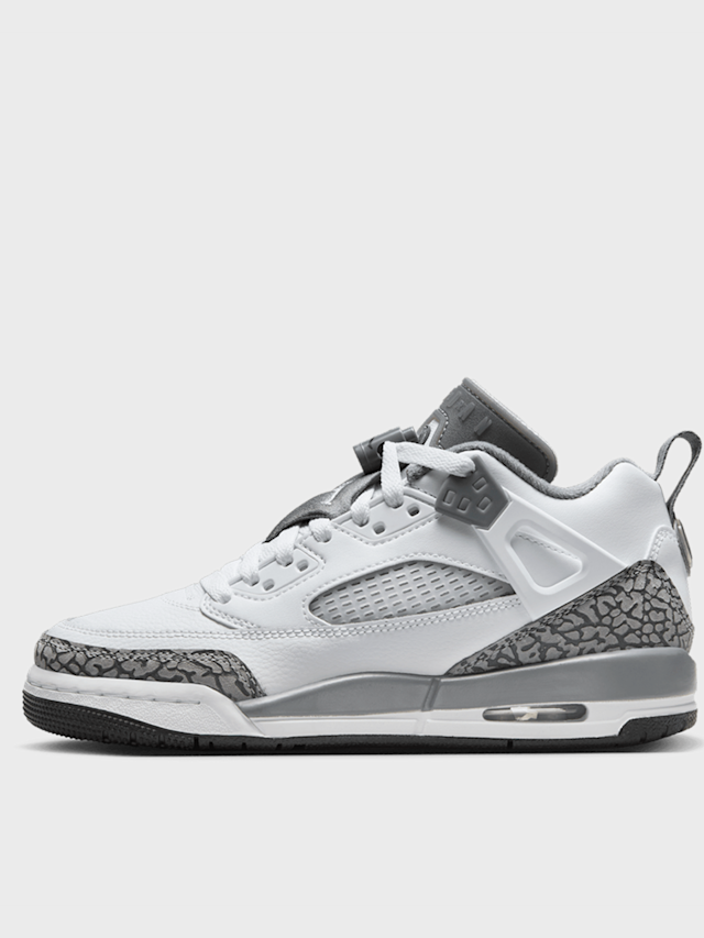 Jordan, Spizike Low (GS), white, Image 1 of 8