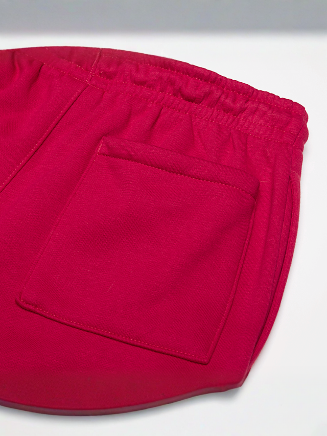 Jordan, Junior Michael Jordan Brooklyn Fleece Essential Pant, red, Image 4 of 4