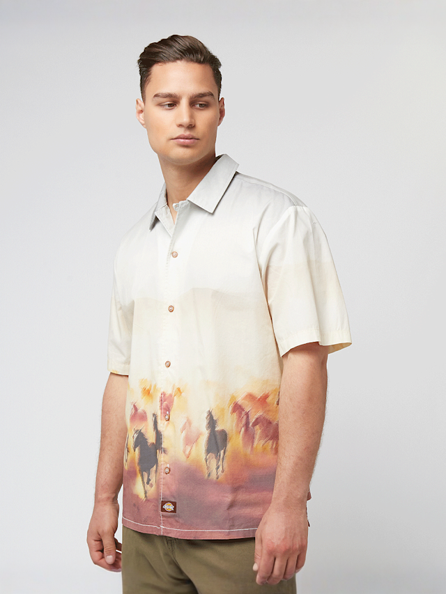 Dickies, Running Wild Shortsleeve Shirt, multicolor, Afbeelding 1 van 4