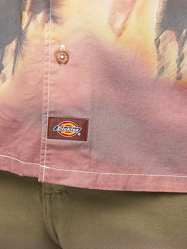 Dickies, Running Wild Shortsleeve Shirt, multicolor, Afbeelding 3 van 4