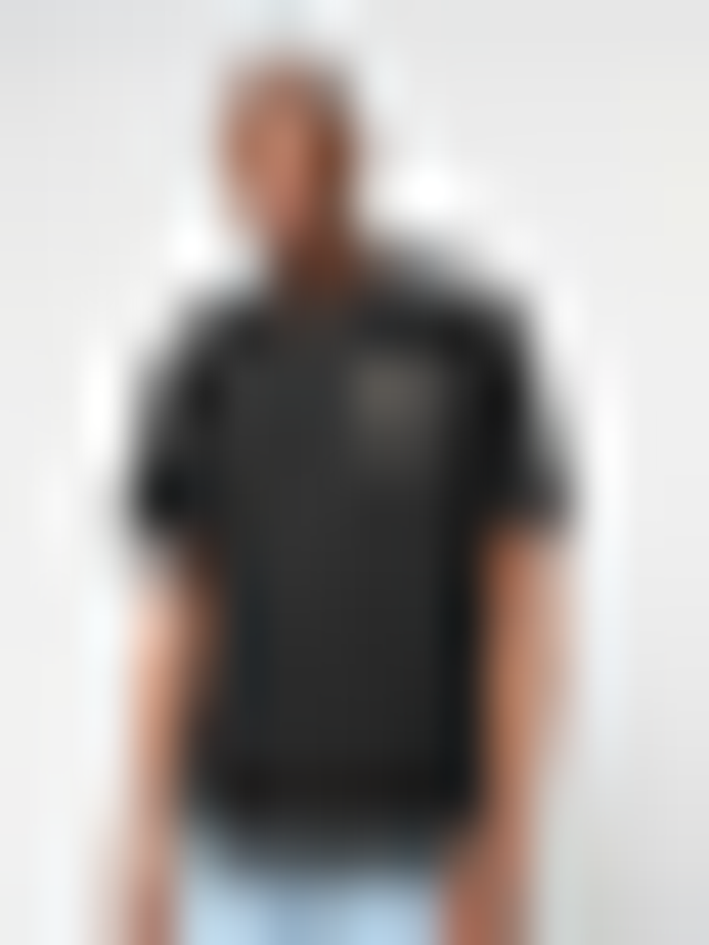 Dickies, Bricklane Shortsleeve Tee, czarny, Obraz 2 z 5